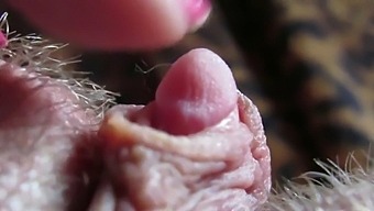 Intense Focus On The Head Of My Large Clitoris Throbbing