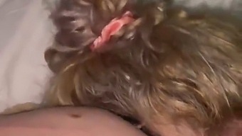 Aku Mohon Maaf Sayangku, Biarkan Aku Memuaskan Penismu Dengan Mulutku